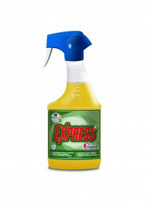 EXPRESS QUITATINTAS
